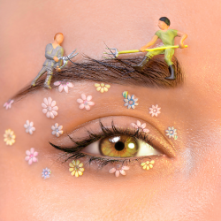 Browlift