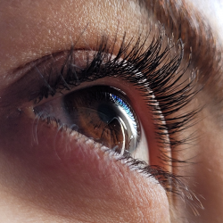 Rehaussement de cils